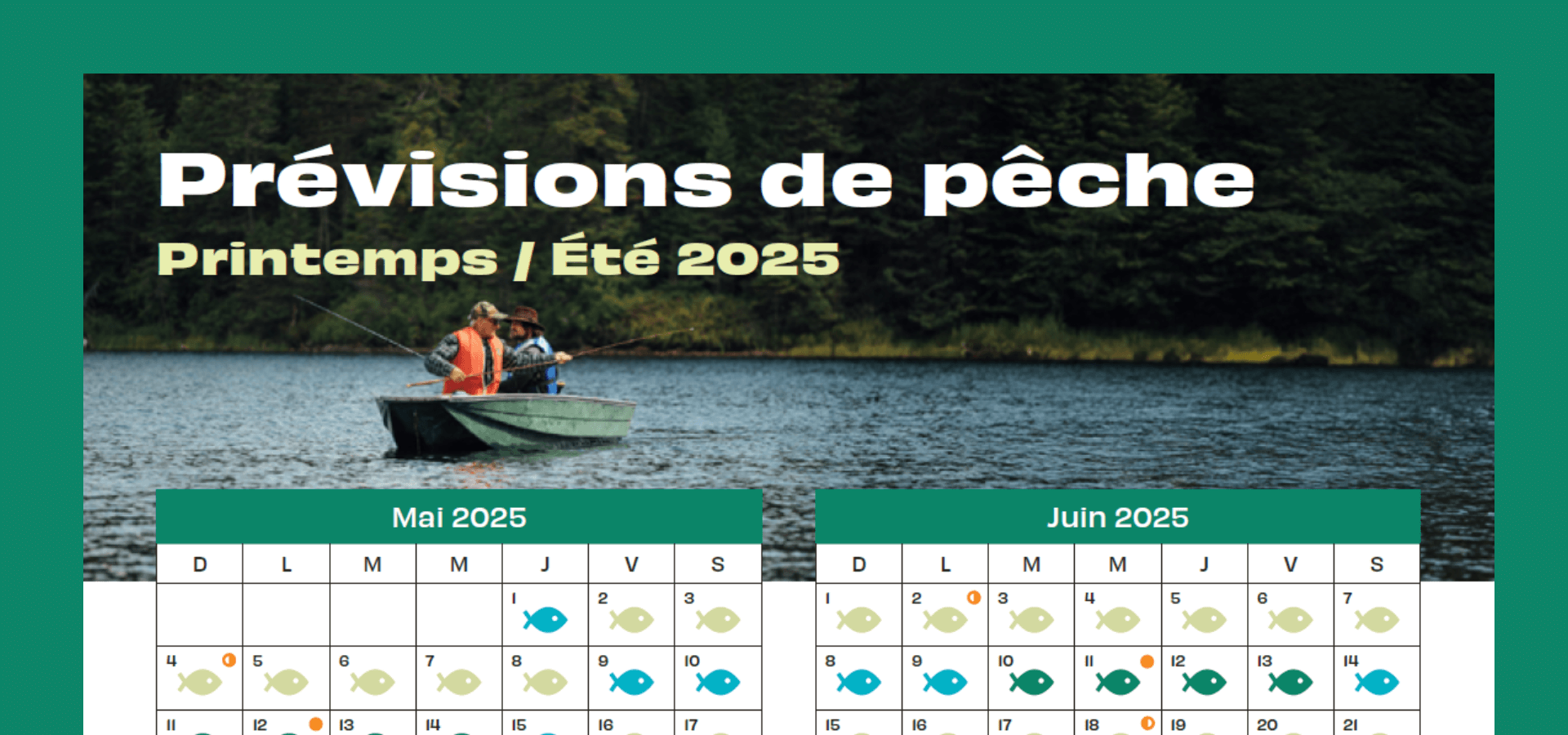 Photo de couverture - Le calendrier de pêche 2025 : un indispensable pour planifier votre prochain séjour de pêche